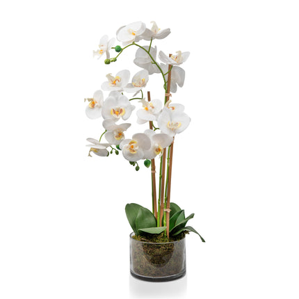 Artificial orchid flower arrangement for interiors
