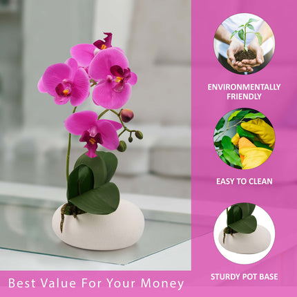 Floral decor orchid display for indoor settings