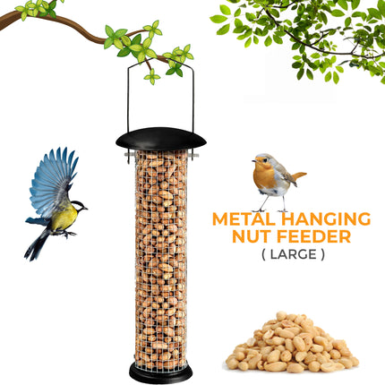Hanging metal peanut bird feeder for garden use in the UK