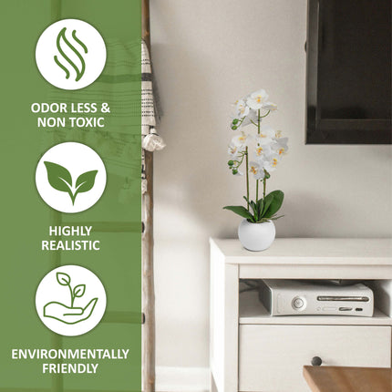 Indoor orchid plant display for living space