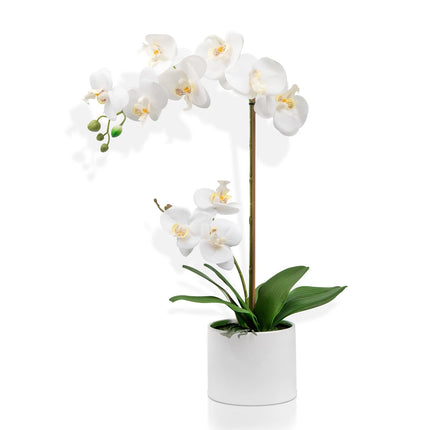Lifelike orchid flower plant for modern decor