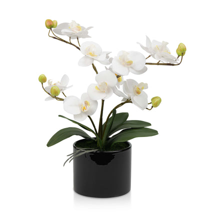 Maintenance-free orchid flower for display