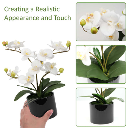 Orchid flower pot for living room styling