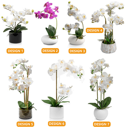 Orchid flower pot for home display and decor