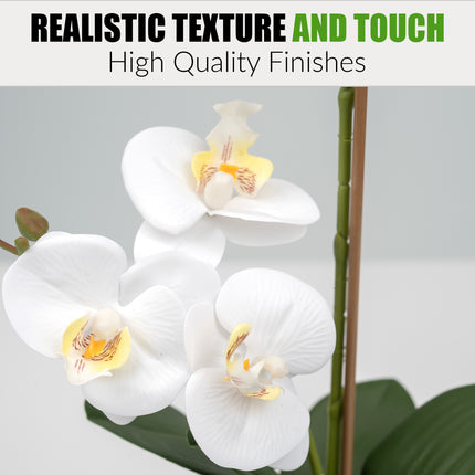 Orchid flower pot for indoor decoration