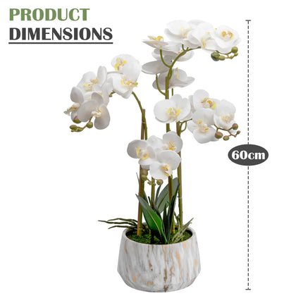 Orchid plant decoration piece for interior use