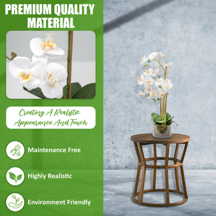 Ornamental orchid flower in pot for décor