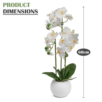 Phalaenopsis orchid artificial plant for home