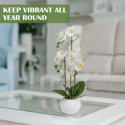 Realistic silk orchid flower decoration