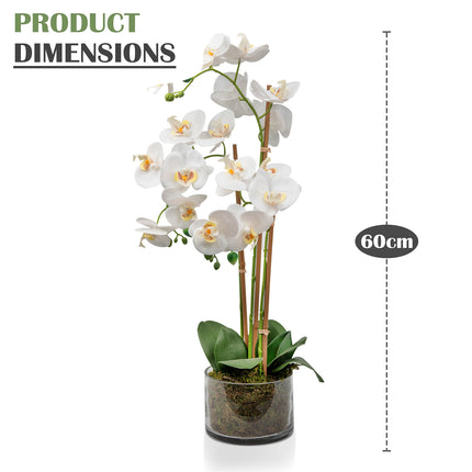 Silk orchid plant for room or event styling