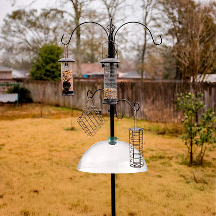 Squirrel guard dome for bird feeders used in UK garden setups
