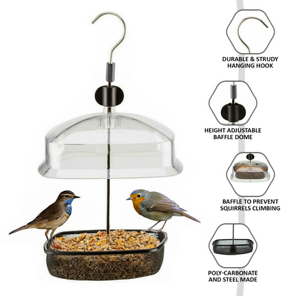 Hanging sunflower seed feeder for wild garden birds