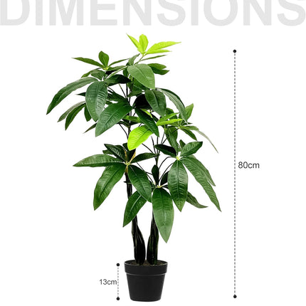 Elegance Pachira Aquatica 80CM - Artificial Plant