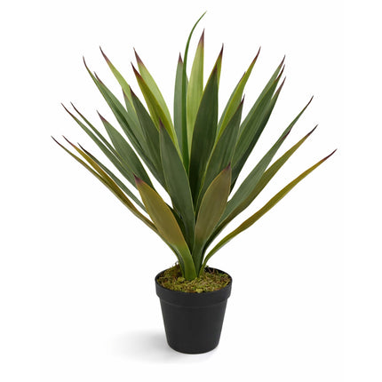 Agave Succulent 50CM - Artificial Plant