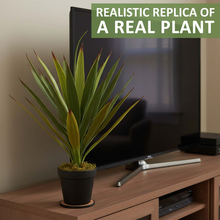 Agave Succulent 50CM - Artificial Plant