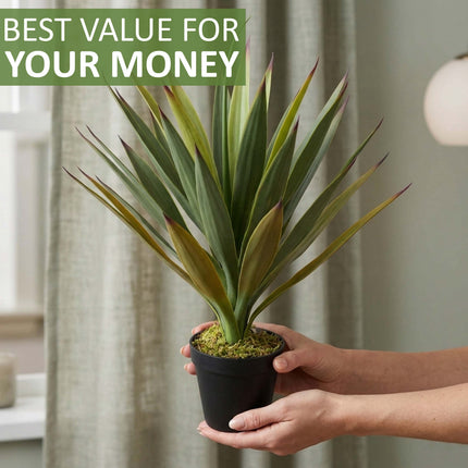 Agave Succulent 50CM - Artificial Plant