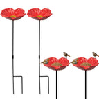 Red Poppy
