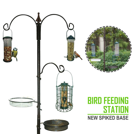 Bird Feeding Station with New Spiked Base