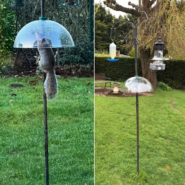 2 Pack Squirrel Proof Clear Dome Guards for Bird Feeders
