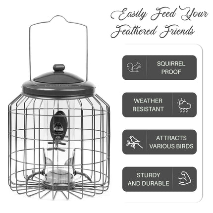 2 x Squirrel-Proof Hanging Bird Seed Feeders – Heavy Duty Metal