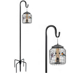 Seed Feeder