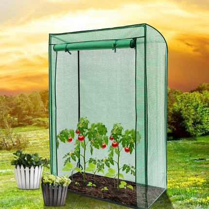 Tomato Greenhouse Frame & Cover