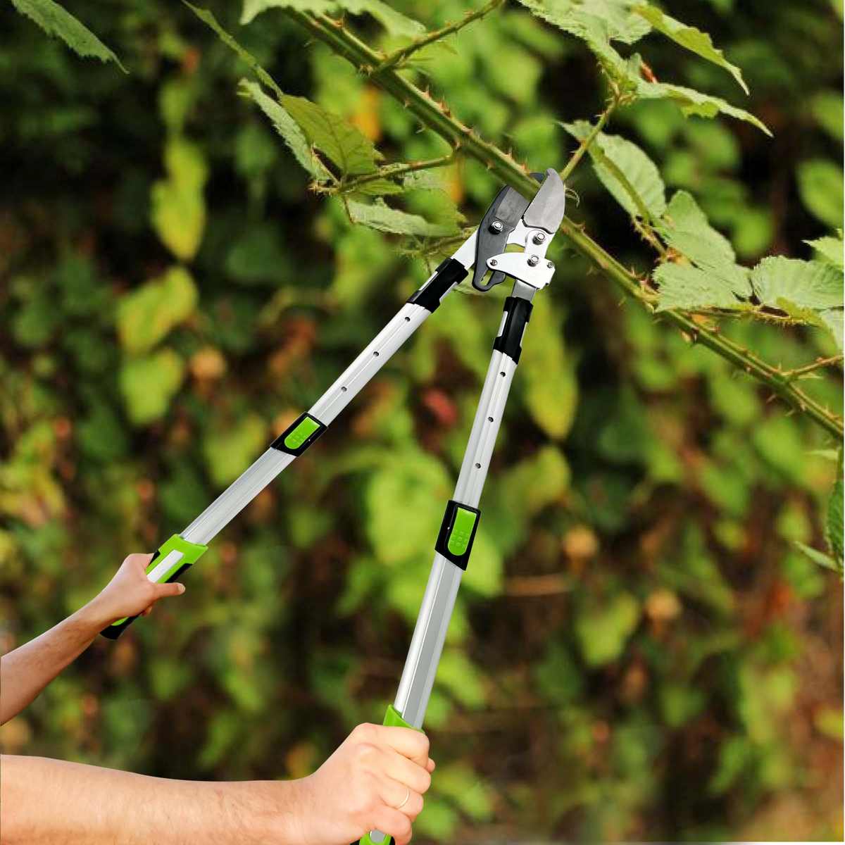 Tree Platform Small Rachet Telescopic Ratchet Tree Loppers โ Brits Home Garden