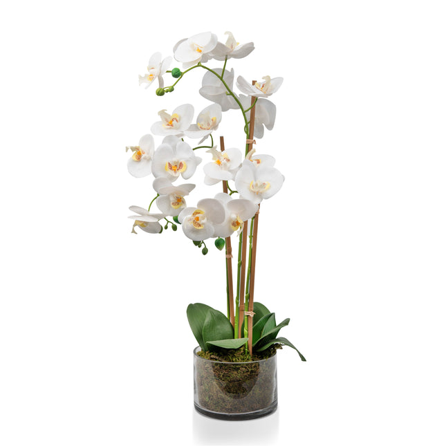 Artificial orchid flower arrangement for interiors