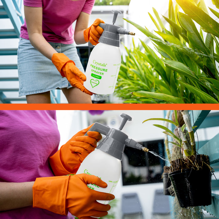 Compact 2L Garden Hand Pump Sprayer for Watering and Fertilizer Application in UK