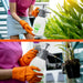 Compact 2L Garden Hand Pump Sprayer for Watering and Fertilizer Application in UK