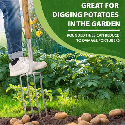 Stainless steel garden fork digging into soil with ergonomic ash wood handle for easy gardening.