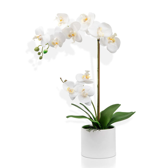 Lifelike orchid flower plant for modern decor