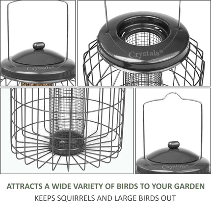 Metal bird feeder with squirrel guard for safe feeding
