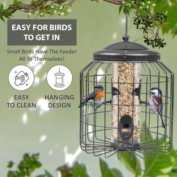 Metal bird feeder for wild garden birds in the UK