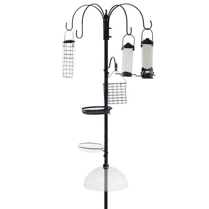 Outdoor birdwatching feeder station with clear dome and water dish.