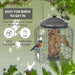 Outdoor hanging nut feeder for birds in the UK