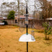 Squirrel guard dome for bird feeders used in UK garden setups