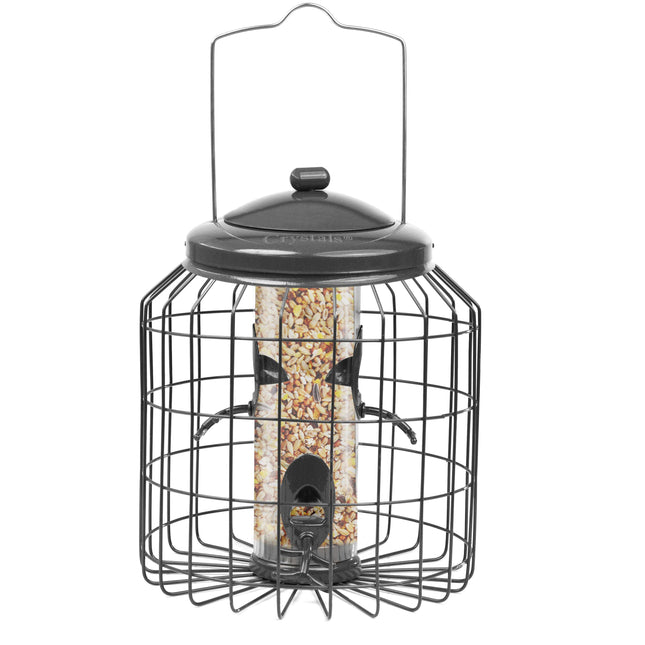 Squirrel proof hanging bird seed feeder for UK gardens