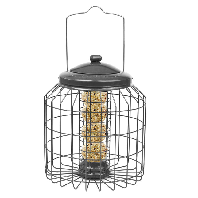 Squirrel proof hanging fatball feeder for garden birds with metal cage