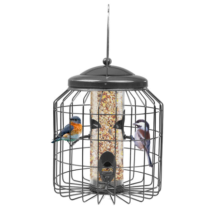 Stylish squirrel proof feeder for UK backyards and patios