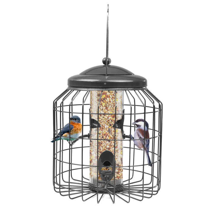 Stylish squirrel proof feeder for UK backyards and patios