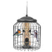 Stylish squirrel proof feeder for UK backyards and patios