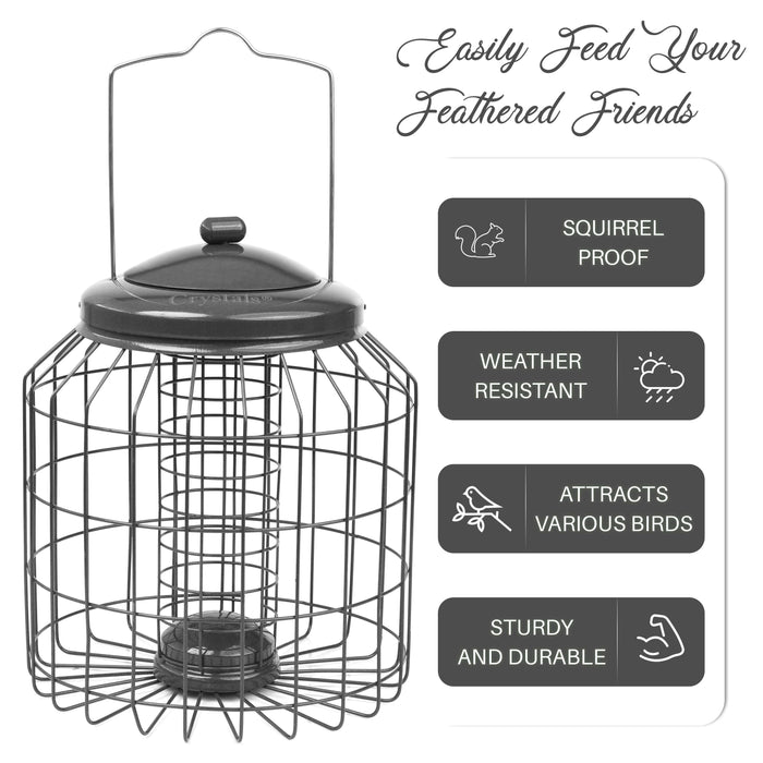 Wild bird fatball feeder with heavy duty gunmetal construction