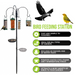 Outdoor wild bird feeder station with baffle dome to stop squirrels.
