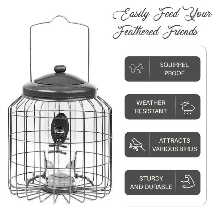 Bird seed feeder with squirrel guard for wild birds