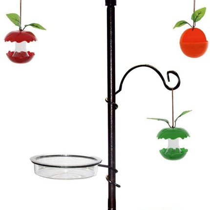 Bird Feeders and Water Bath