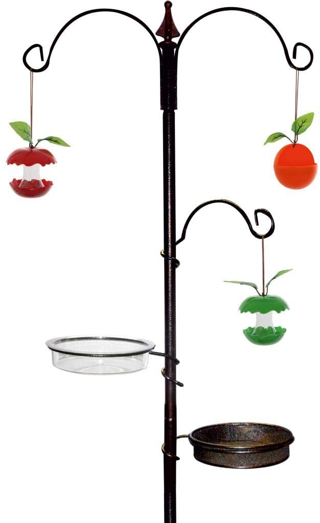 Bird Feeders and Water Bath