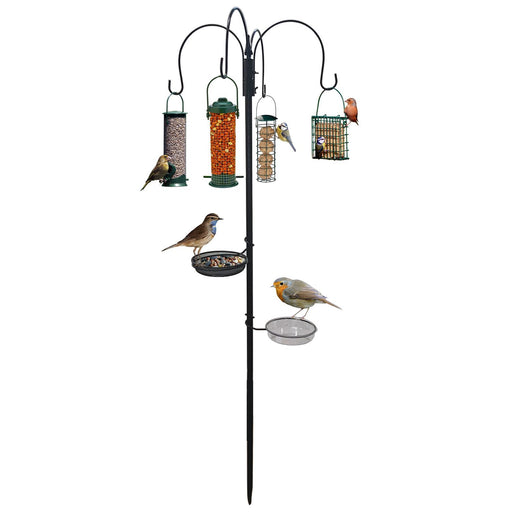 Bird Feeder Station