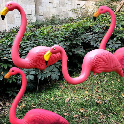 Flamingo Pink Bird