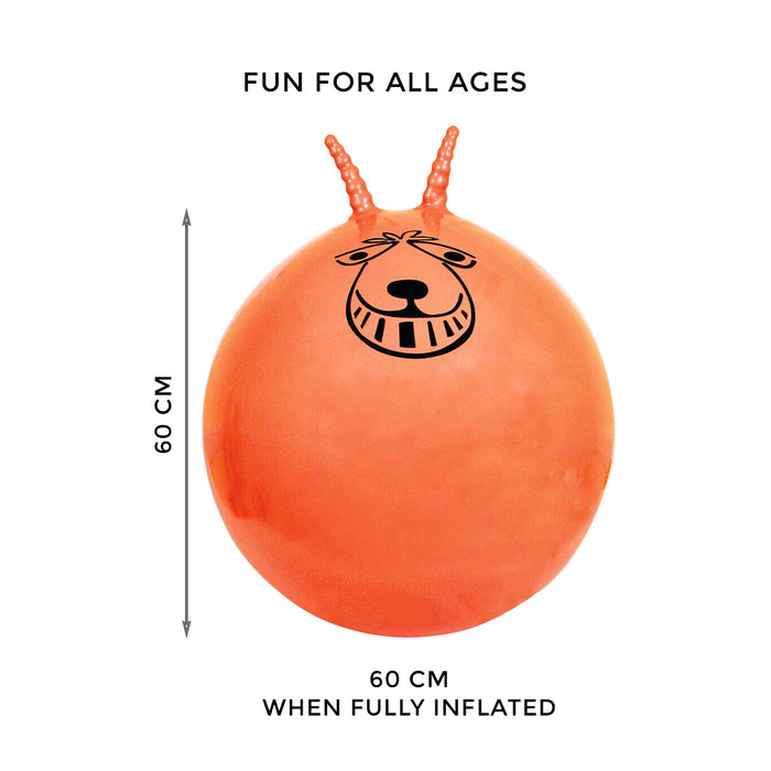 Retro Space Hopper Exercise Ball